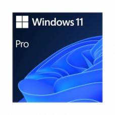 Microsoft Windows 11 Professional 64bit OEM Eng Intl 1PK DSP OEI DVD